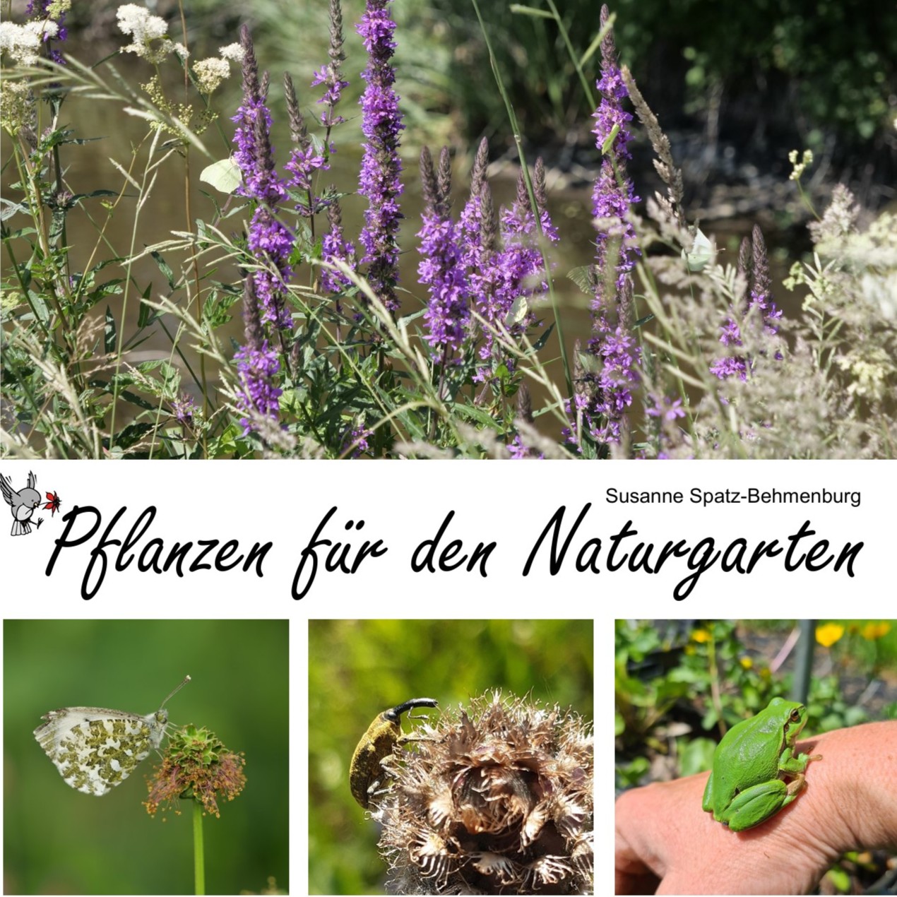 Buch Pflanzen für den Naturgarten