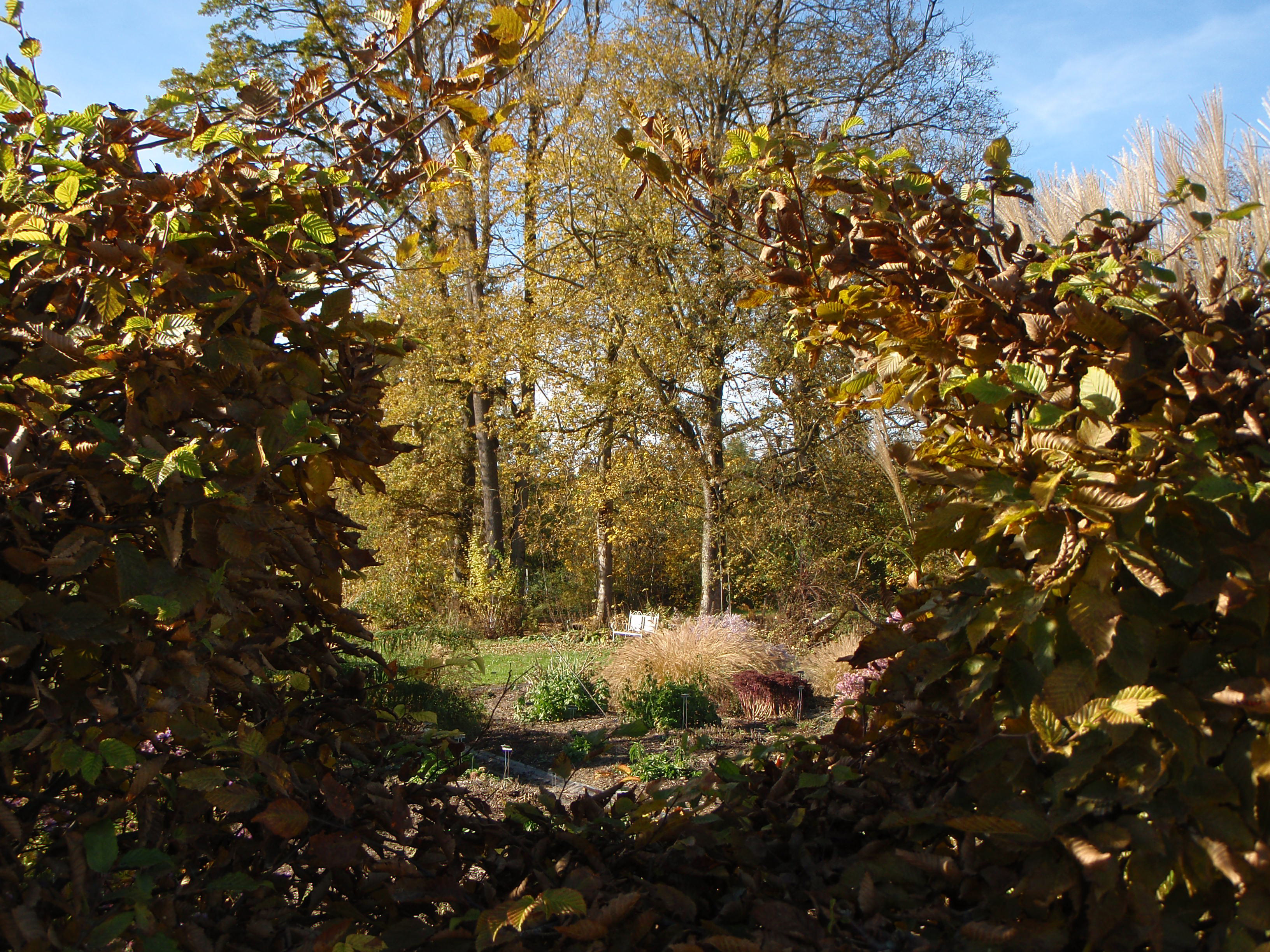 Staudenrundgang Gärtnerei StaudenSpatz