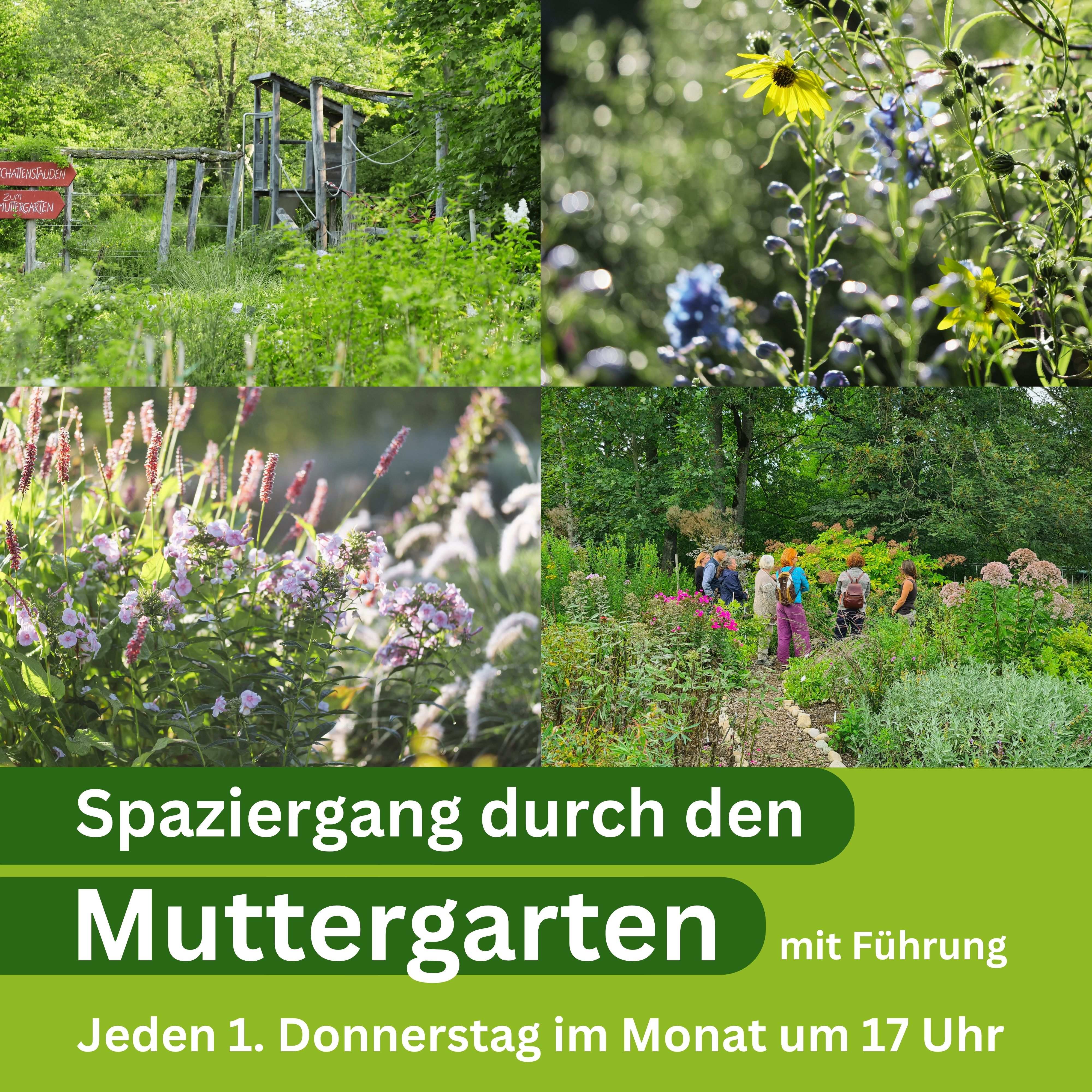 Gärtnerei StaudenSpatz Eingangsbereich 