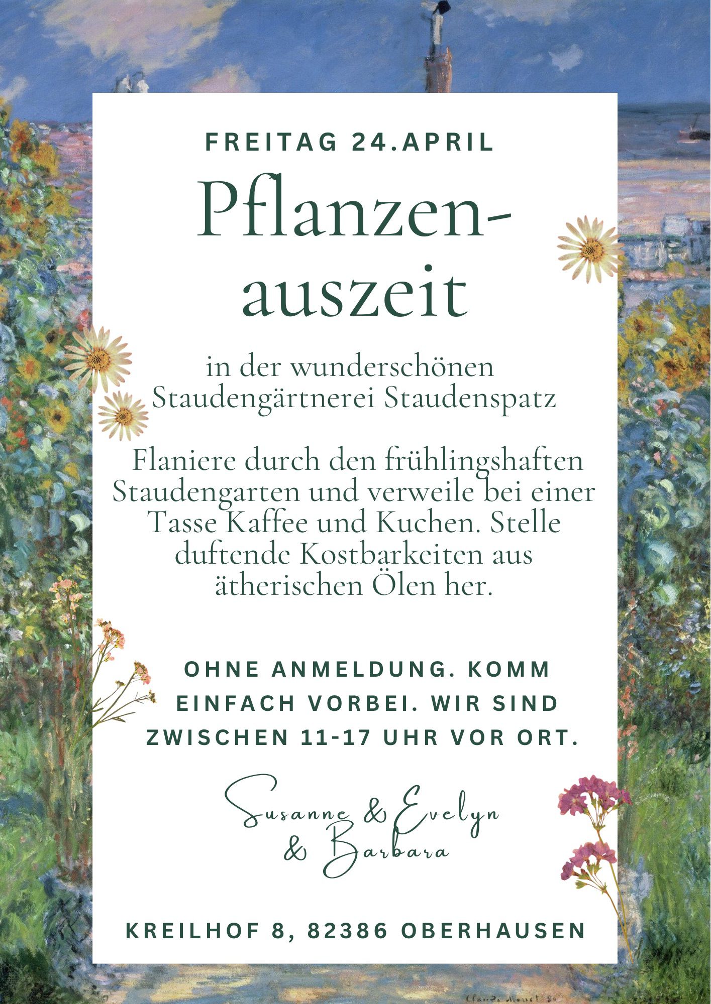 Lenzrose Gärtnerei StaudenSpatz