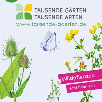 1000 Gärten 1000 Arten Paket Blumenkräuterrasen