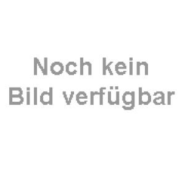 Teppich-Fetthenne Album Superbum (Sedum spurium Album Superbum)