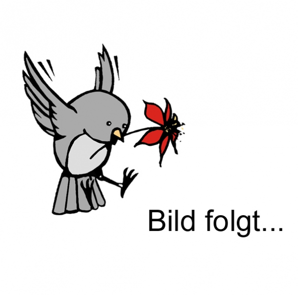 Schillergras (Koeleria glauca)